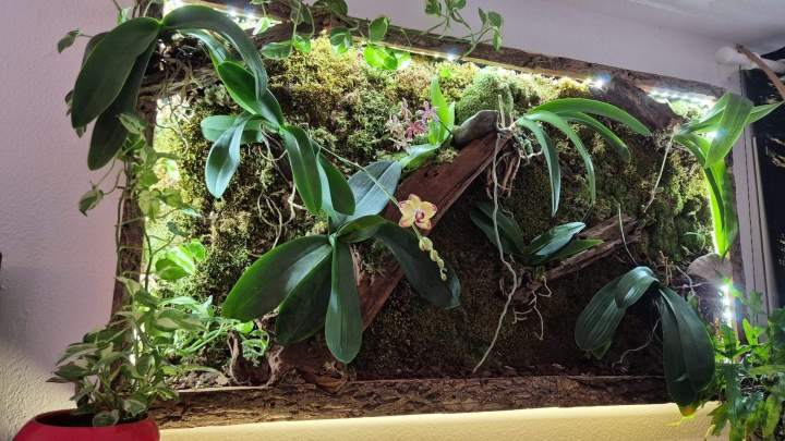 Tableau végétal Grenoble