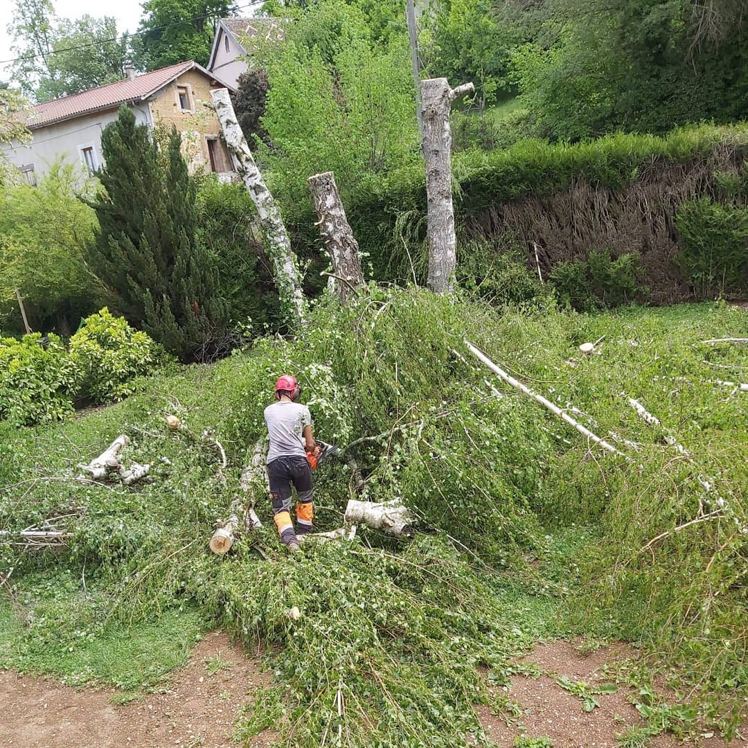 débroussaillage.jpg Défrichage et débroussaillage, Varces-Allières-et-Risset