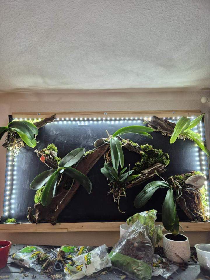 Création Tableaux Végétaux Grenoble