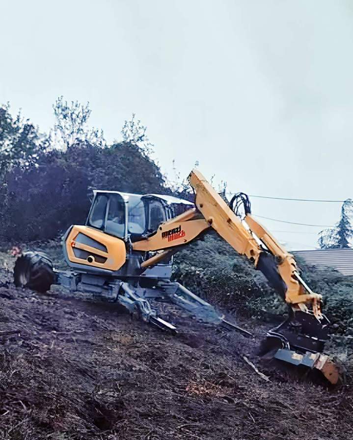 Défrichage et débroussaillage, Le Pont-de-Claix